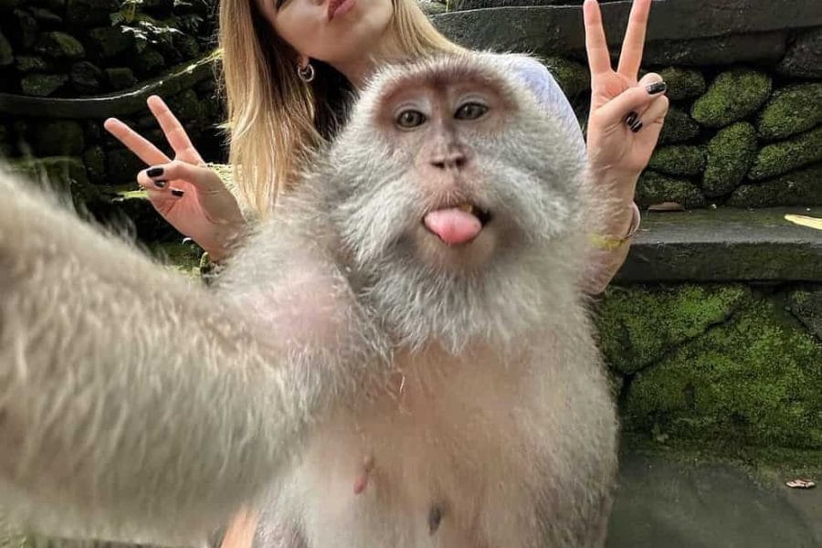 Ubud & Tanah Lot Full-Day Cultural Tour with The Fun Trev (BFD.05)