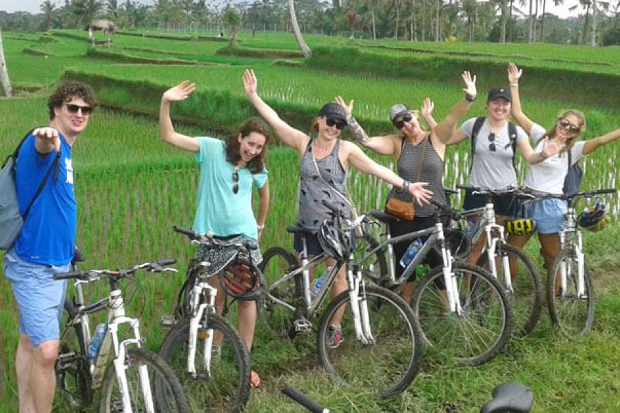Top Picks : Ubud E-Bike Cycling Tour by The Fun Trev (ADV5.CY)