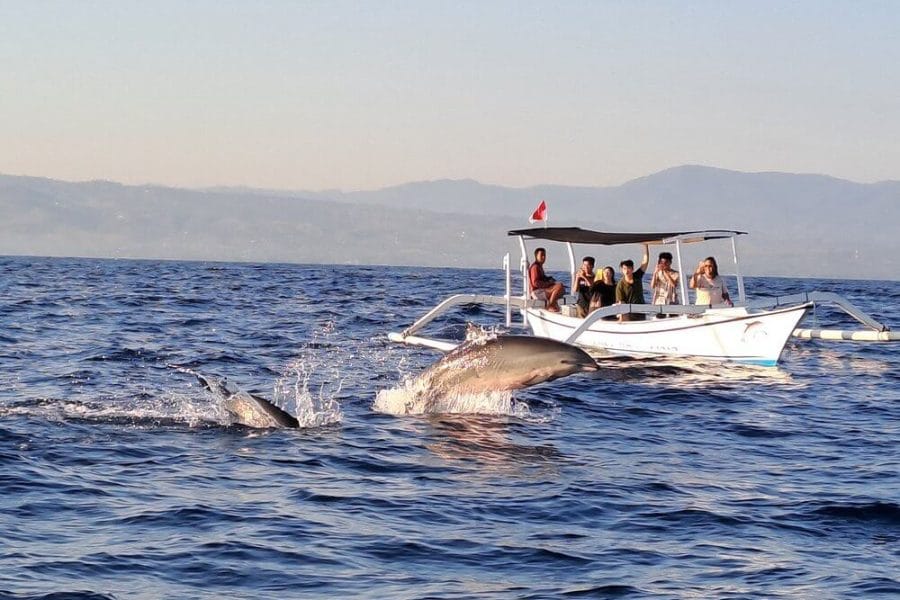 Lovina Dolphin & North Bali Adventure with The Fun Trev (BFD.08)