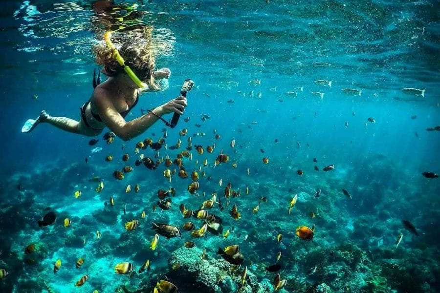 Nusa Penida Snorkeling Tour – Package B | The Fun Trev (NS.08)