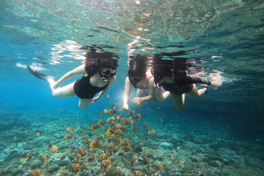Nusa Penida Special Trip (Island + Snorkeling) – Package B | The Fun Trev (NS.10)