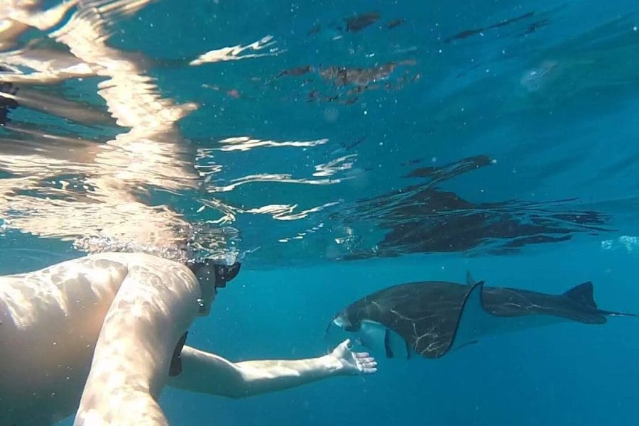 Nusa Penida Snorkeling Tour – Package A | The Fun Trev (NS.03)