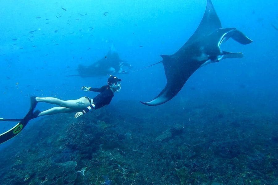 Nusa Penida Snorkeling Tour – Explore Bali’s Stunning Marine Life with The Fun Trev (ADV11D.SN)