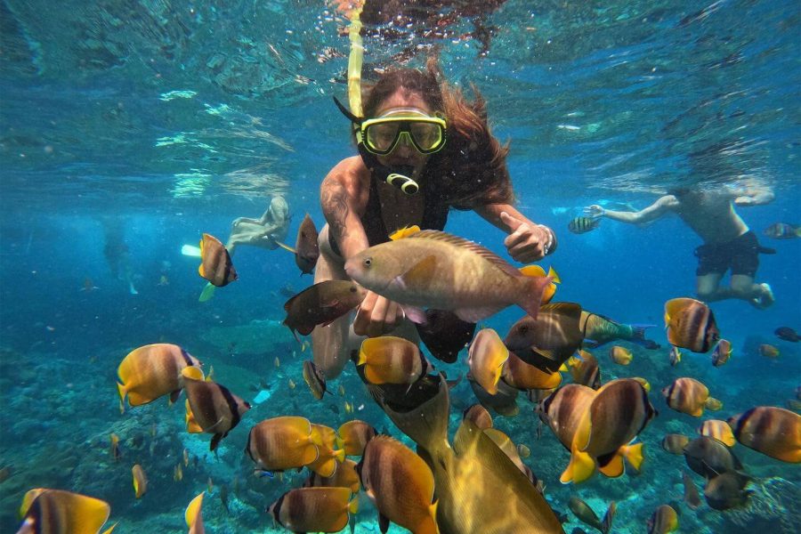 Snorkeling Tour in Blue Lagoon, Bali with The Fun Trev (ADV11B.SN)